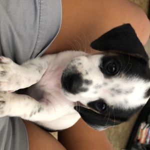 Meet your Posher, Vianca